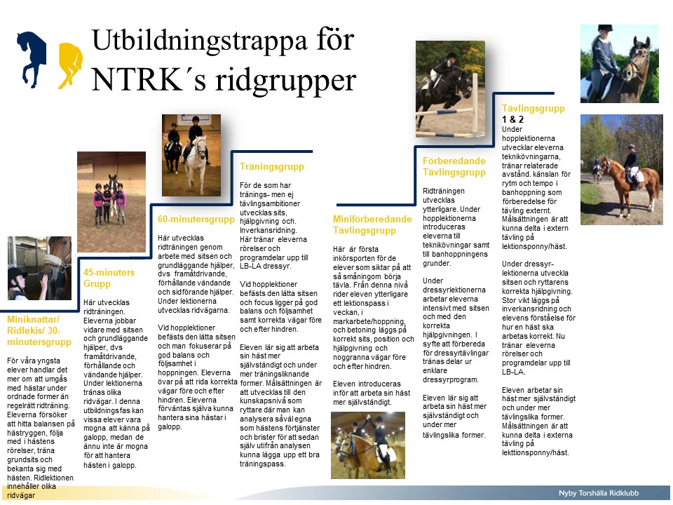 utbildningstrappagrupper