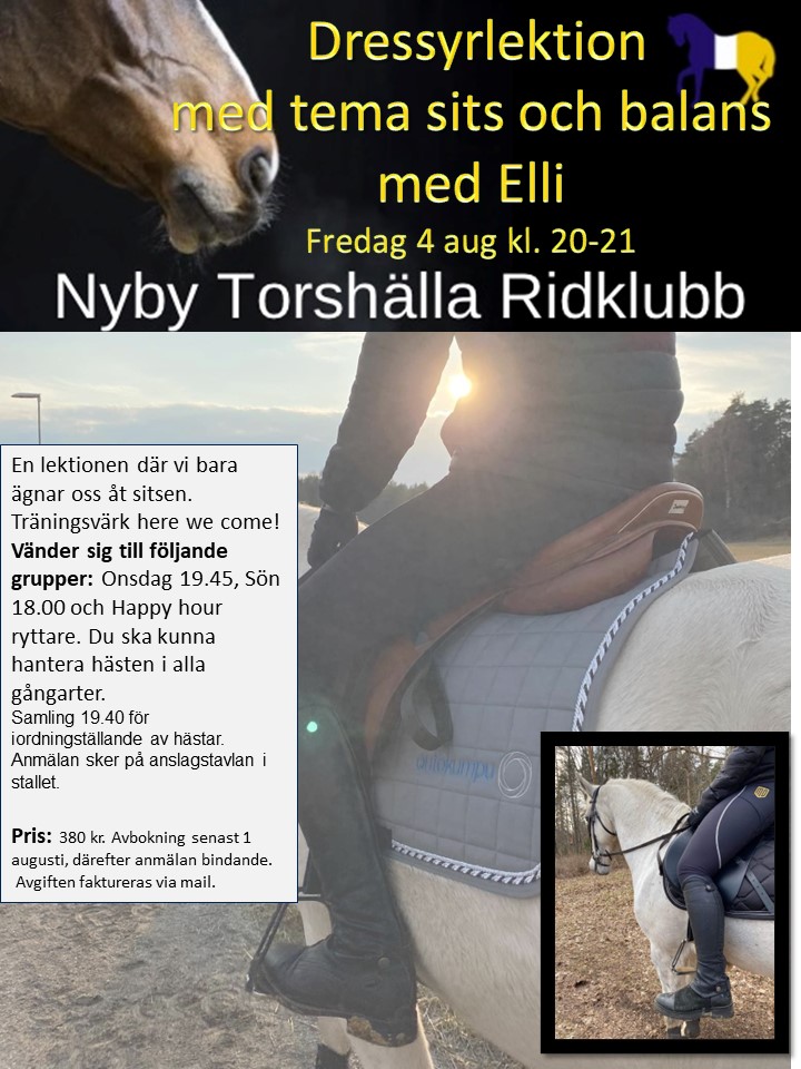 Dressyrkurs tema sits 4 aug-23
