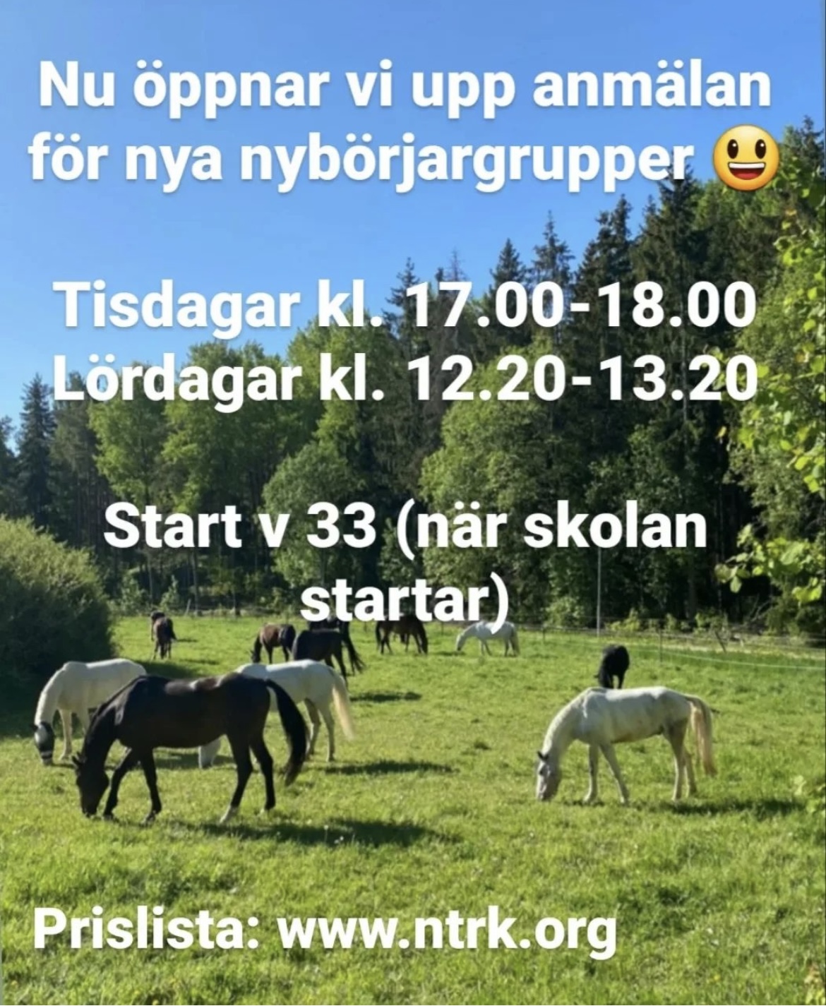 nybörjare