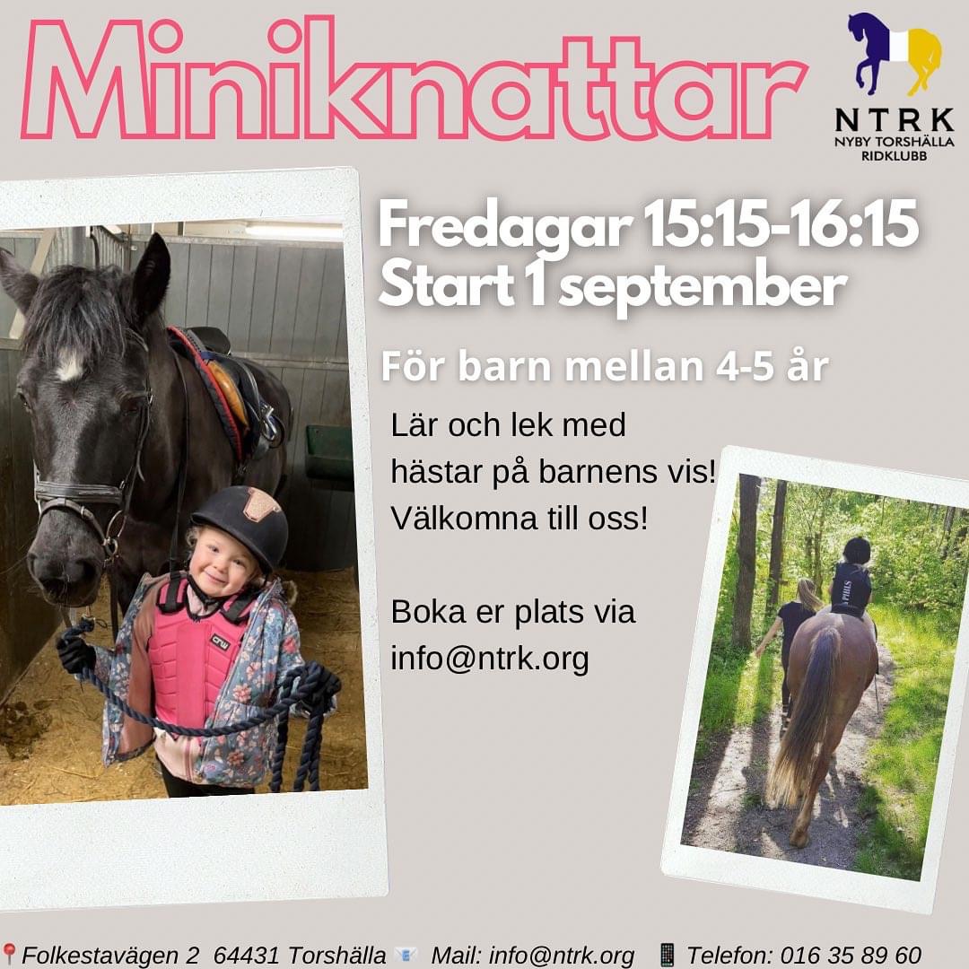 Miniknattar