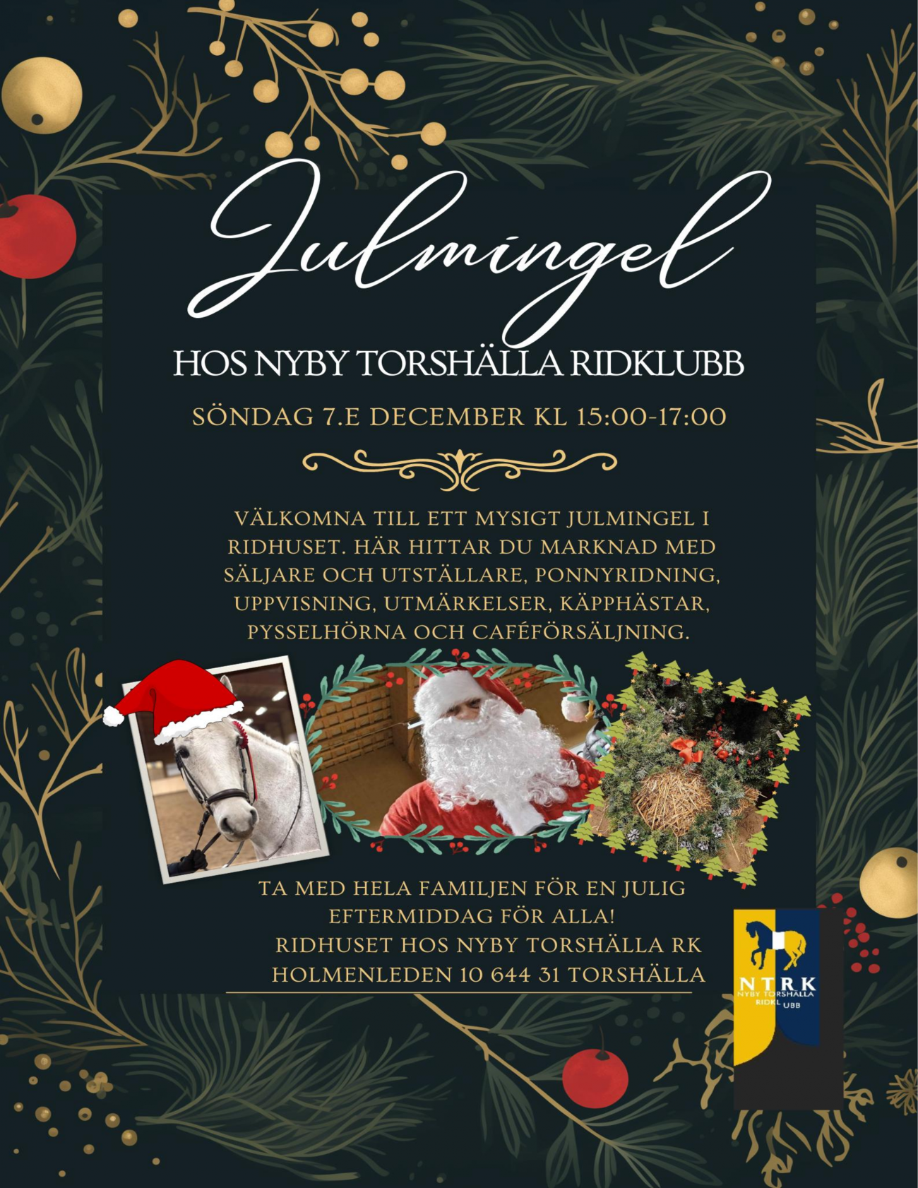 JULMINGEL 2025 + SÄLJARE-0