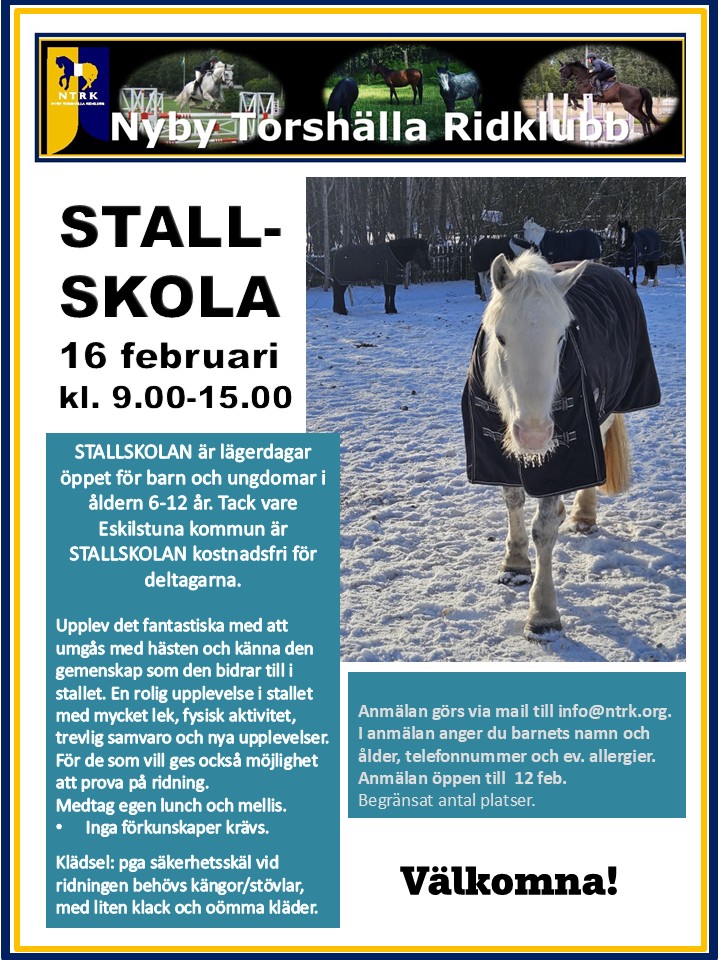 Stallskola sportlov-26