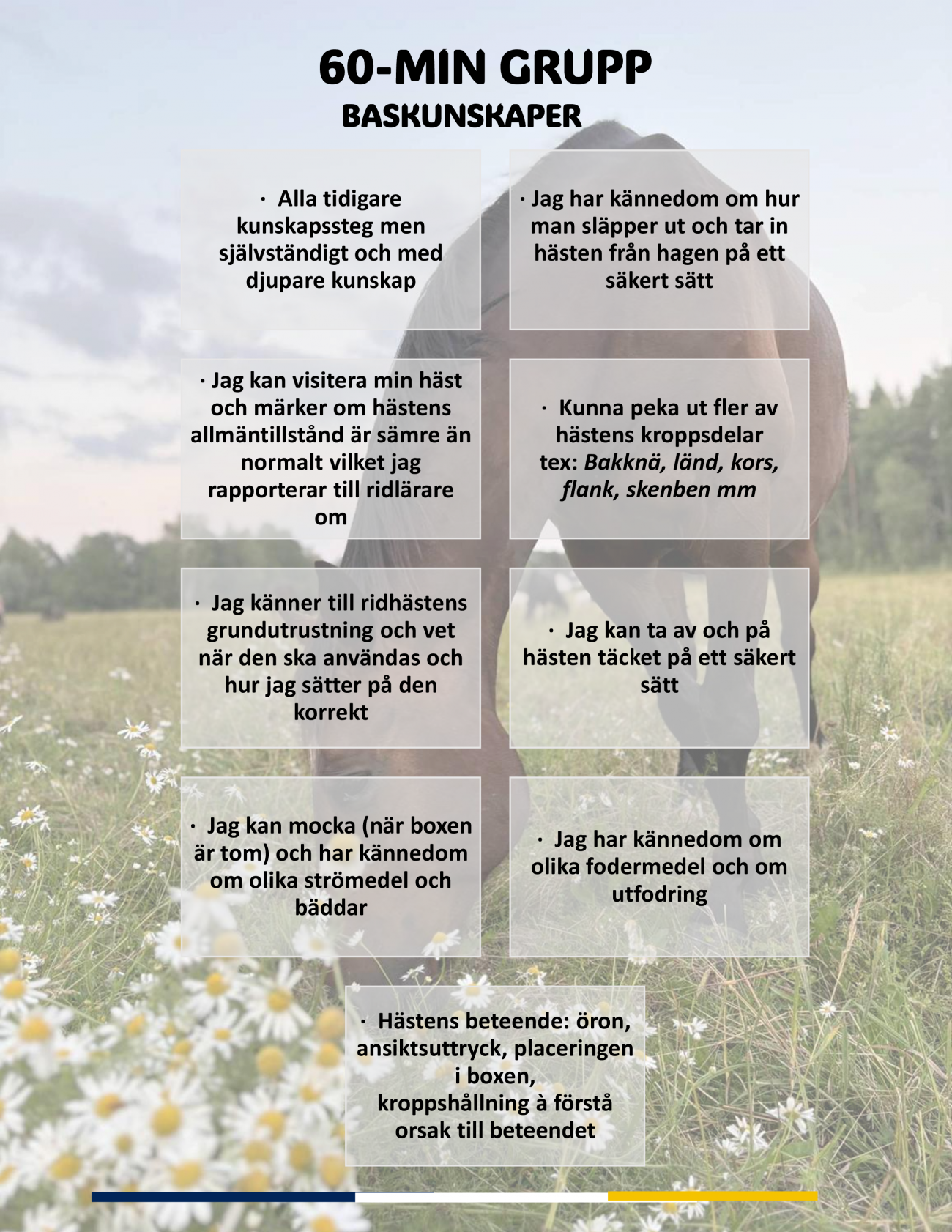KUNSKAPSSTEGE UPPDATERAD 2026-2