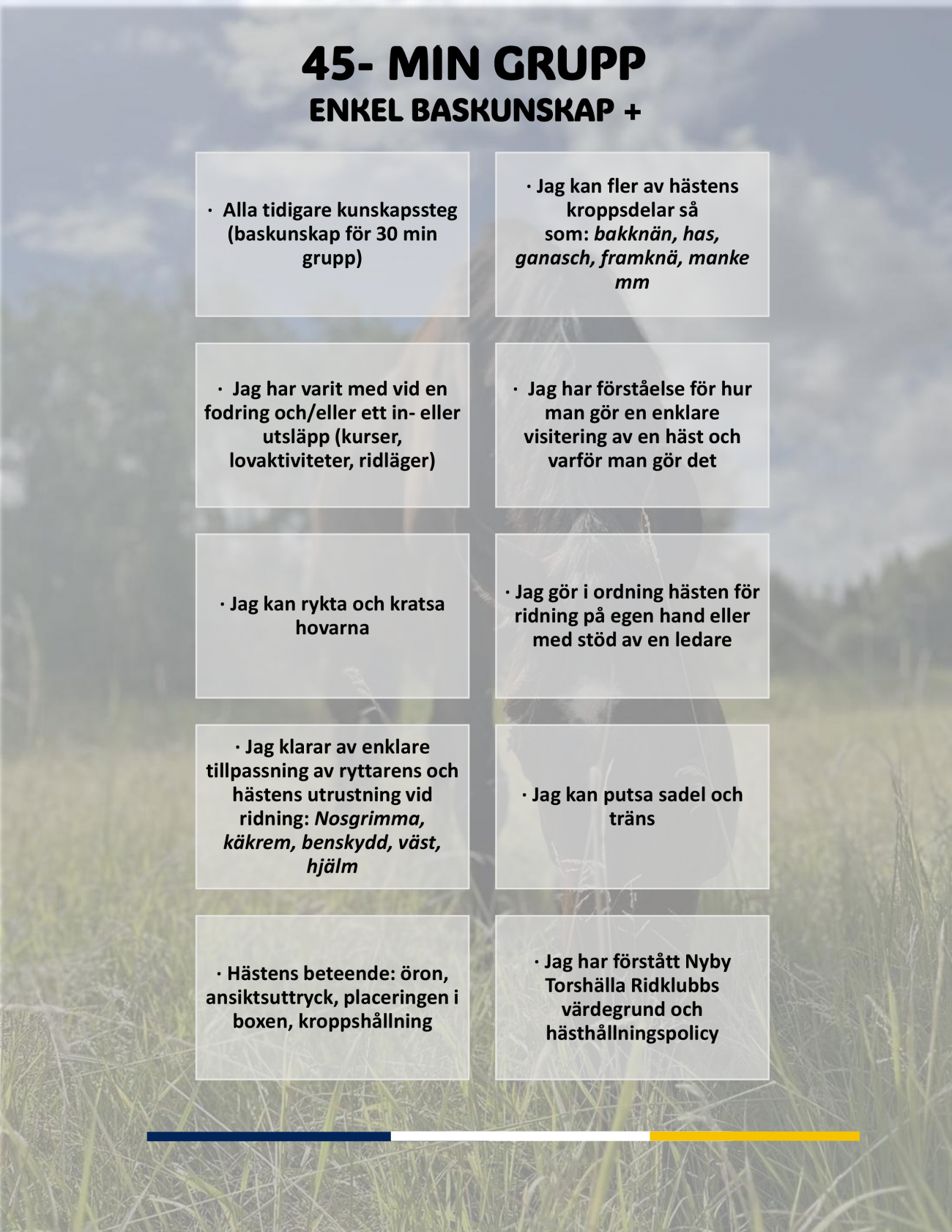 KUNSKAPSSTEGE UPPDATERAD 2026-1